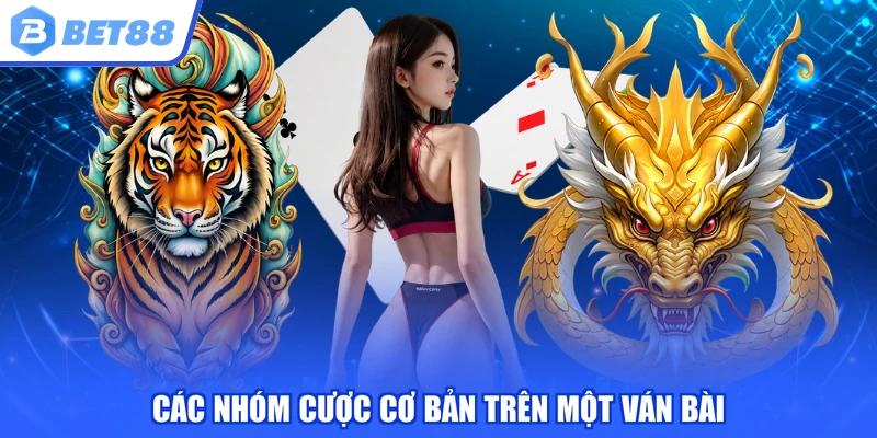 Các nhóm cược cơ bản trên một ván bài
